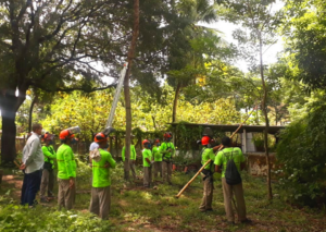 Grupo de homens fardados de verde e portando equipamentos de poda verificam árvore para poda